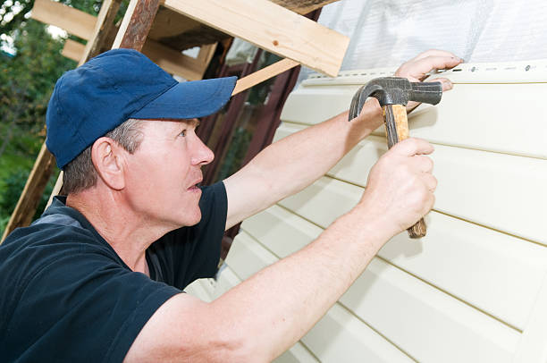 Professional Siding in Palm Shores, FL